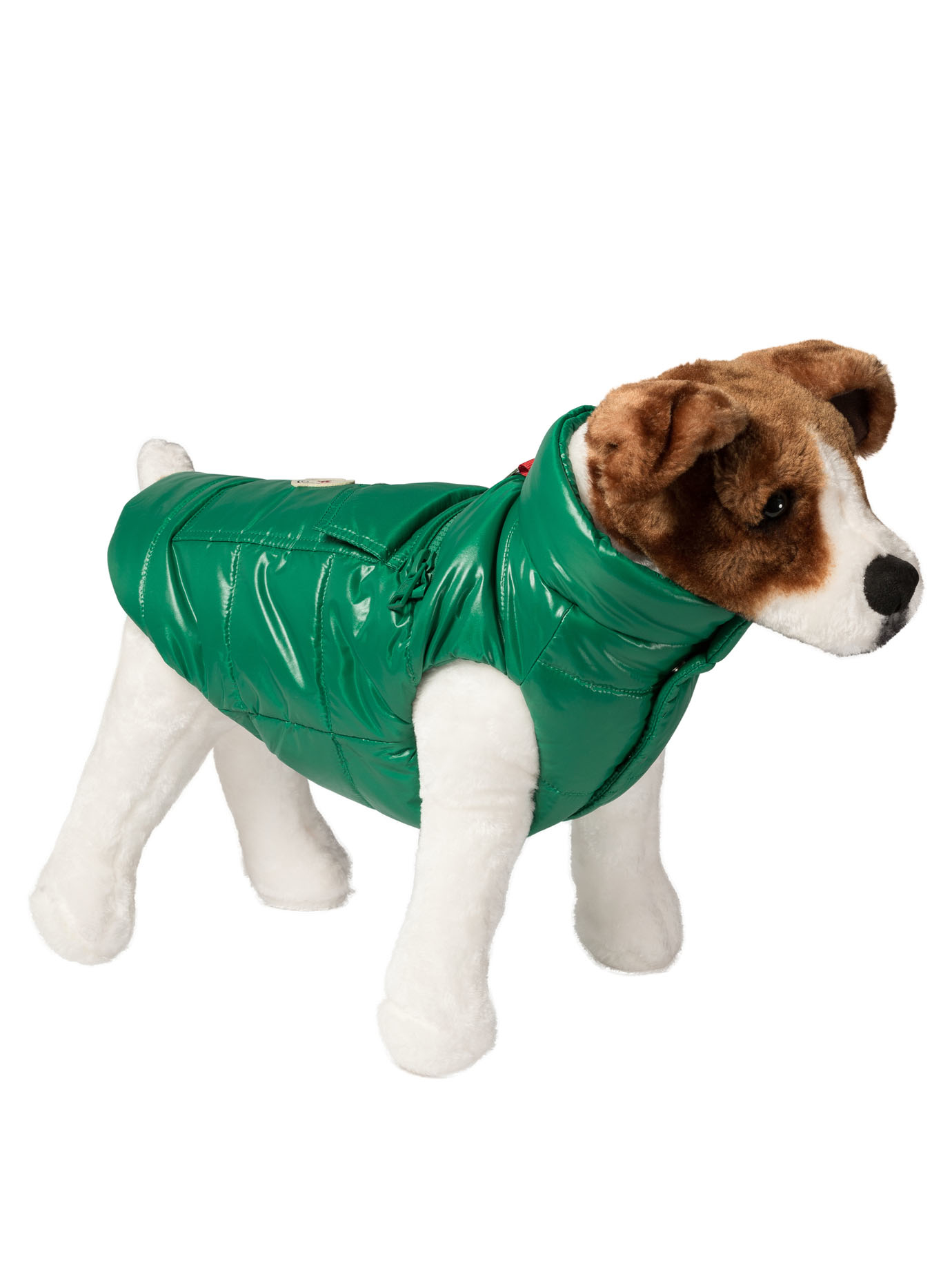 Dog 베스트